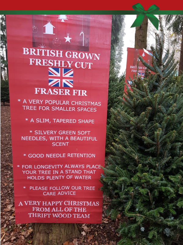 Our Trees Christmas At Thriftwood